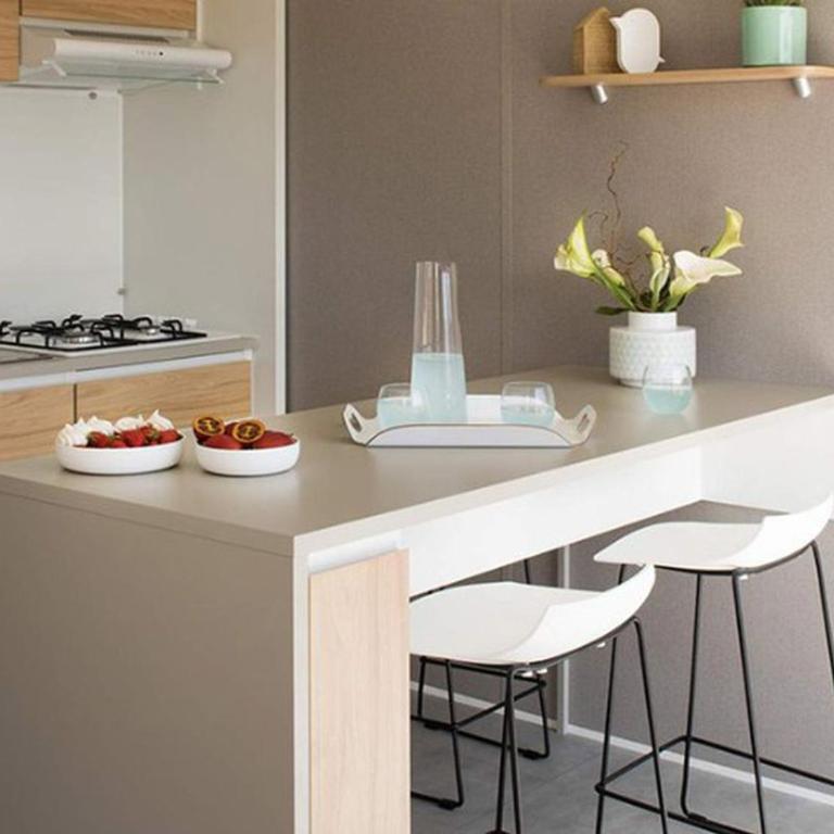 Mobil-home sur pilotis avec terrasse - API-1-52-1009 - Mobile Home - 3