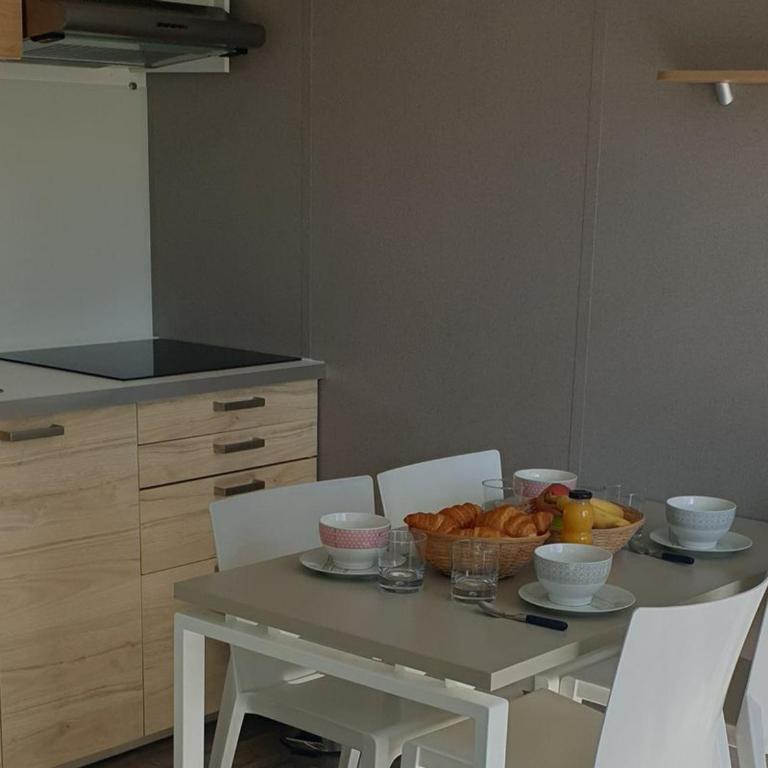 Mobil-home sur pilotis avec terrasse - API-1-52-1009 - Mobile Home - 8
