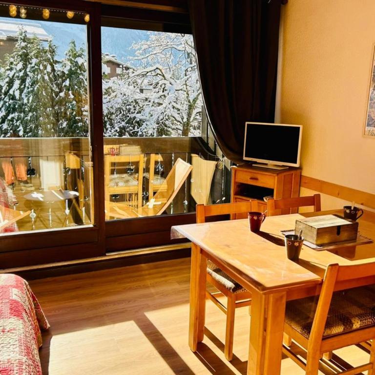 Bright apartment with views of Mont Blanc - Apartment - 16