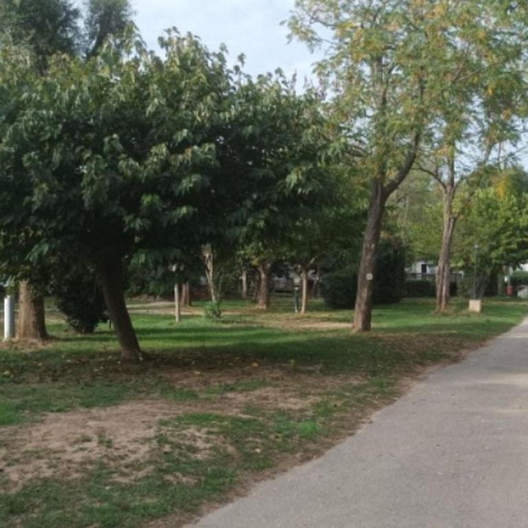 Mobil-home 3 pièces avec terrasse à Roquebrune-sur-Argens - API-1-52-1016 - Mobile Home - 22