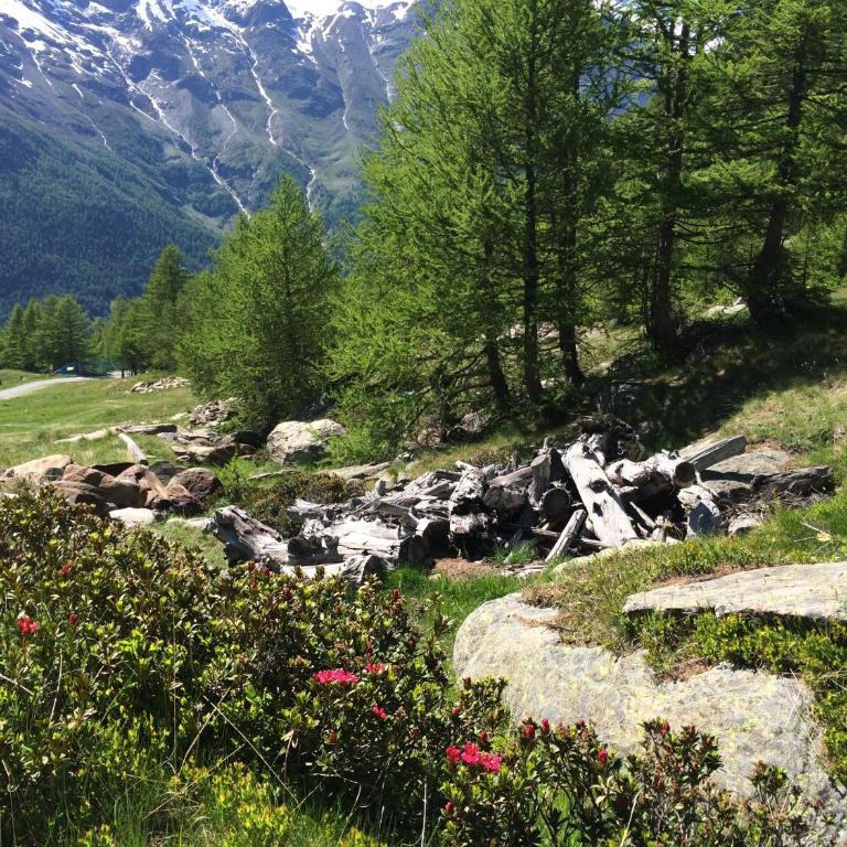 Chalet Stadel - Studio (2 Erwachsene) - 49