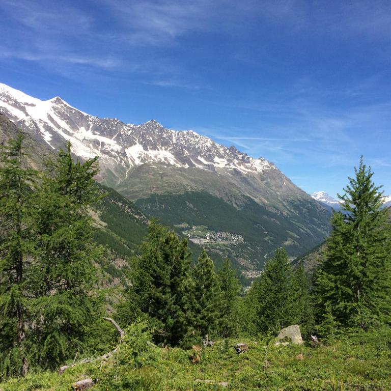 Chalet Stadel - Studio (2 Erwachsene) - 52