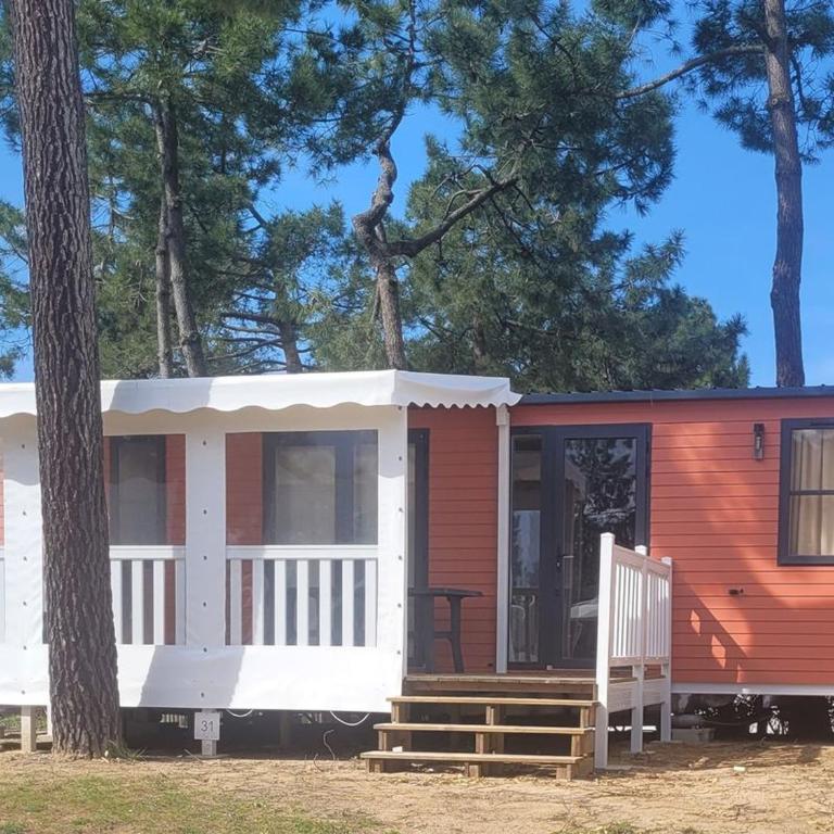 Mobil home avec terrasse - 3 chambres, cuisine équipée - API-1-52-1179 - Mobile Home - 1
