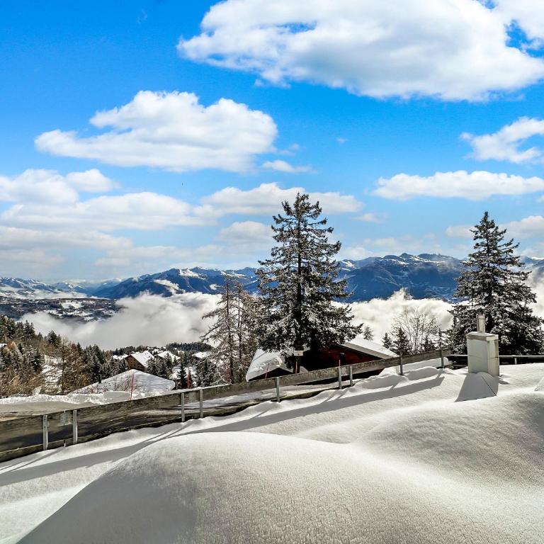 PO Petite Ourses Suite - Anzere Slopeside - Swiss Alp - Studio mit Bergblick - 2