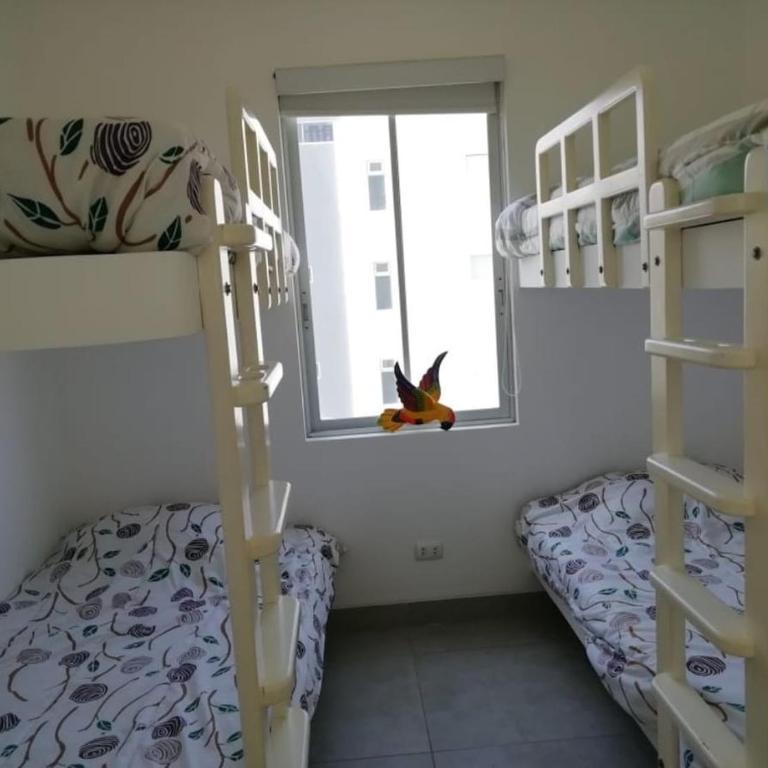 Paracas Exclusivo Departamento familiar - One-Bedroom Apartment - 20