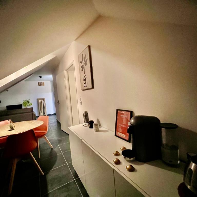 Télétravail pro - Calme, grand espace, plein centre - Apartamento de 1 dormitorio - 17
