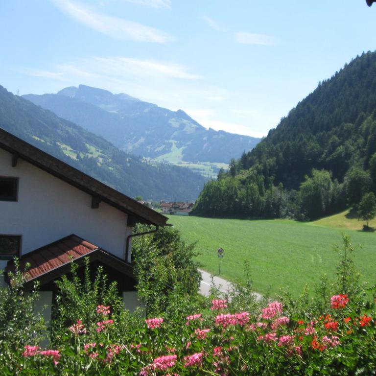 Ferienwohnungen Hauser Reinhilde - Apartment mit Blick auf die Berge - 22