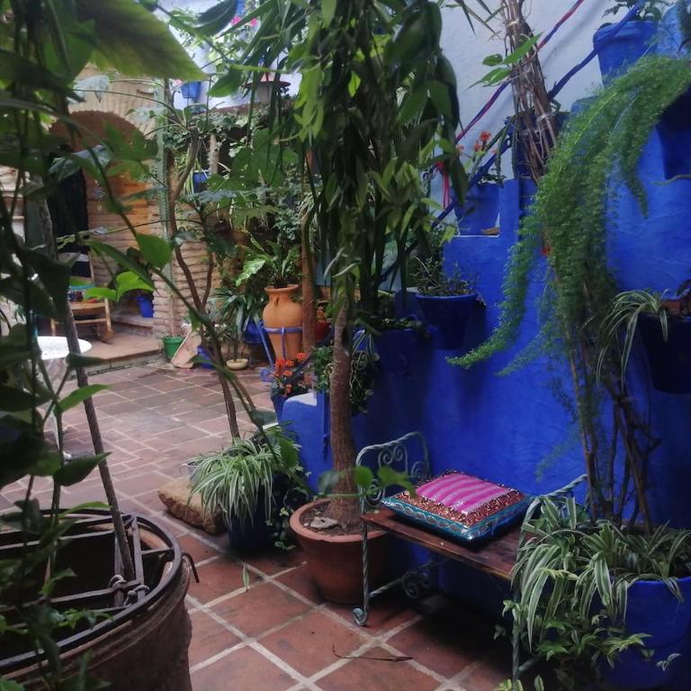 El patio azul Bohemio Mágico - Apartamento de 2 dormitorios - 9