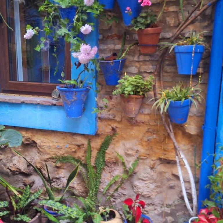 El patio azul Bohemio Mágico - Apartamento de 2 dormitorios - 10