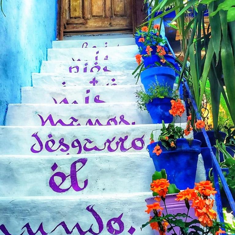 El patio azul Bohemio Mágico - Apartamento de 2 dormitorios - 2