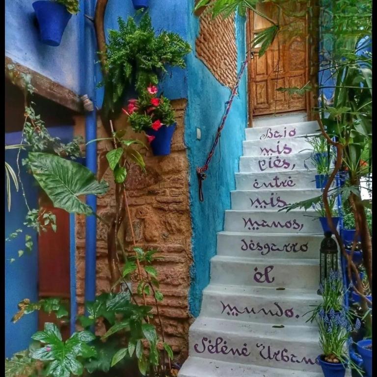 El patio azul Bohemio Mágico - Apartamento de 2 dormitorios - 1