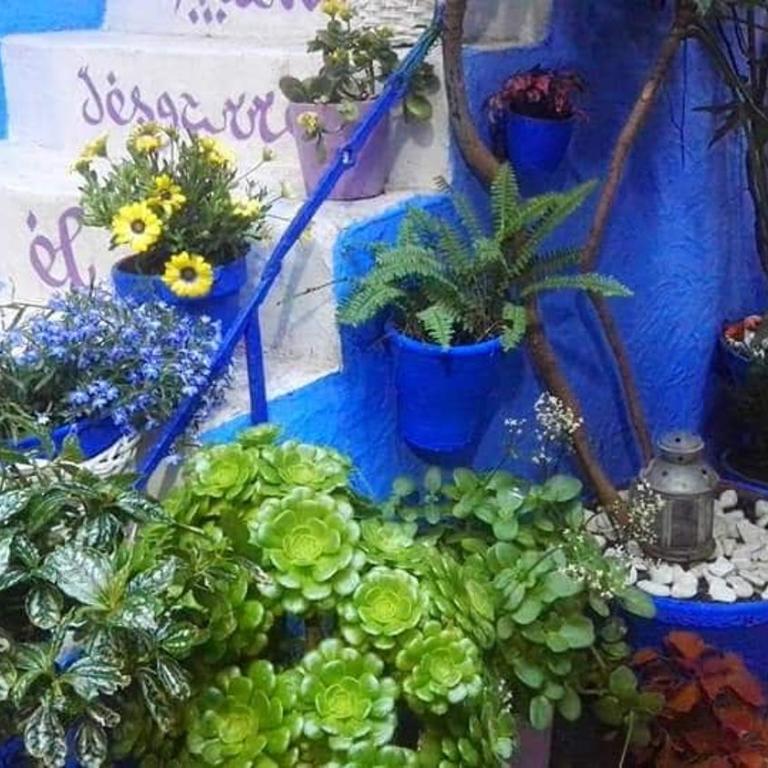 El patio azul Bohemio Mágico - Apartamento de 2 dormitorios - 18