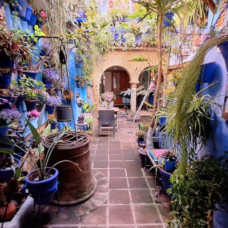 El patio azul Bohemio Mágico - Apartamento de 2 dormitorios - 29