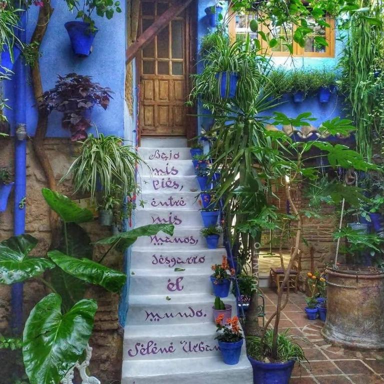 El patio azul Bohemio Mágico - Apartamento de 2 dormitorios - 40