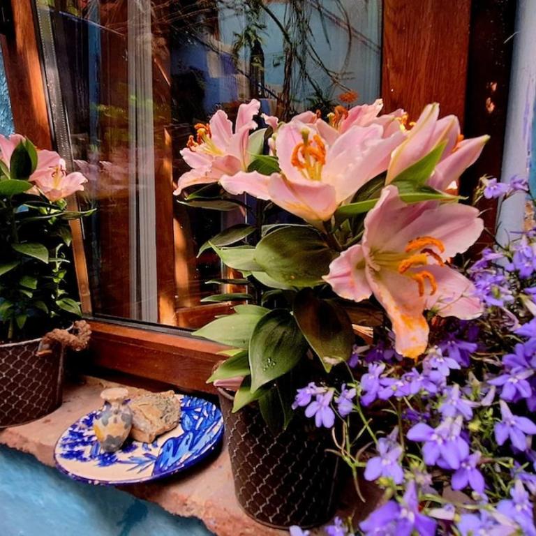 El patio azul Bohemio Mágico - Apartamento de 2 dormitorios - 44