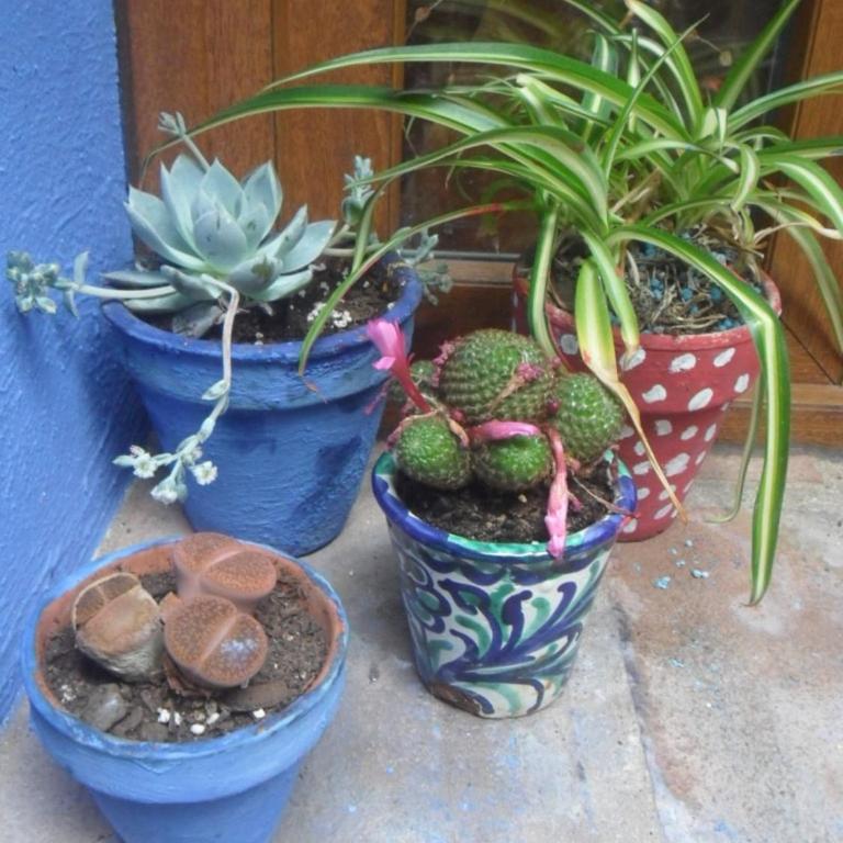 El patio azul Bohemio Mágico - Apartamento de 2 dormitorios - 53