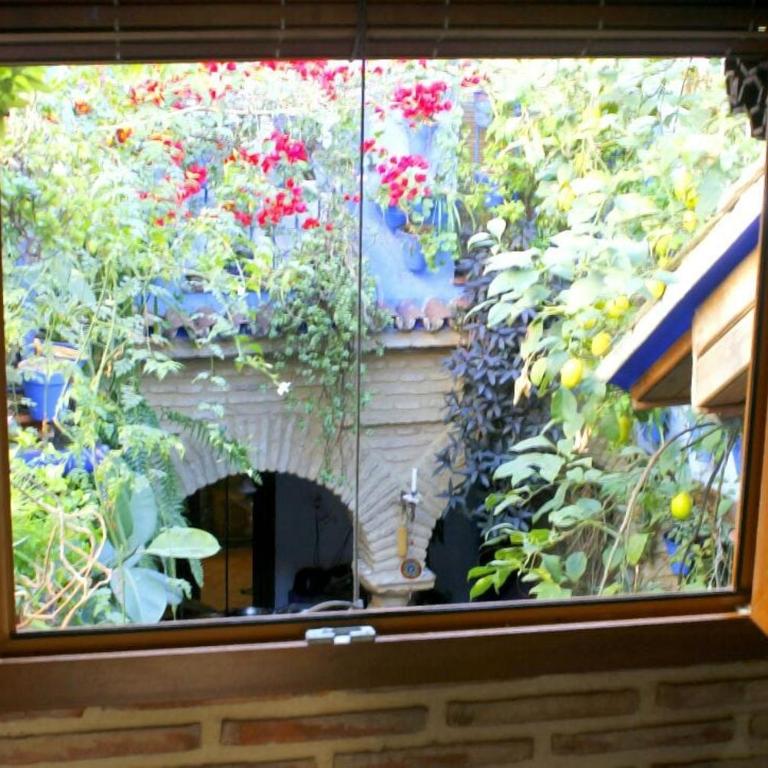 El patio azul Bohemio Mágico - Apartamento de 2 dormitorios - 58