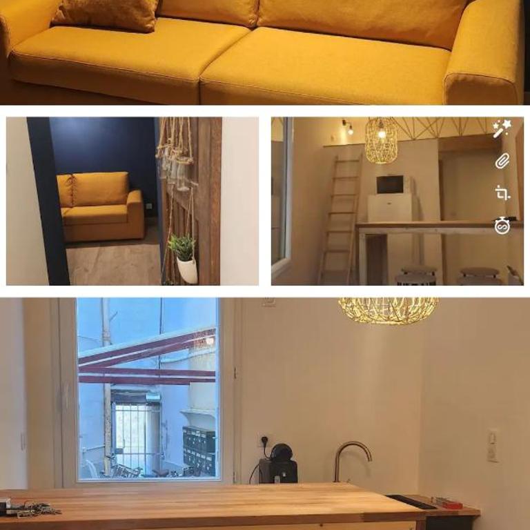 Petit studio au cœur de saumur - Appartement 1 Chambre - 2
