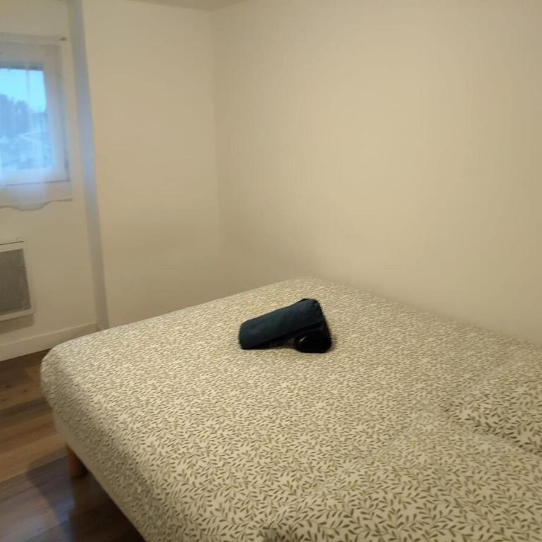 le nid du voyageur, petit cocon sur les toits - Appartement 1 Chambre - 2