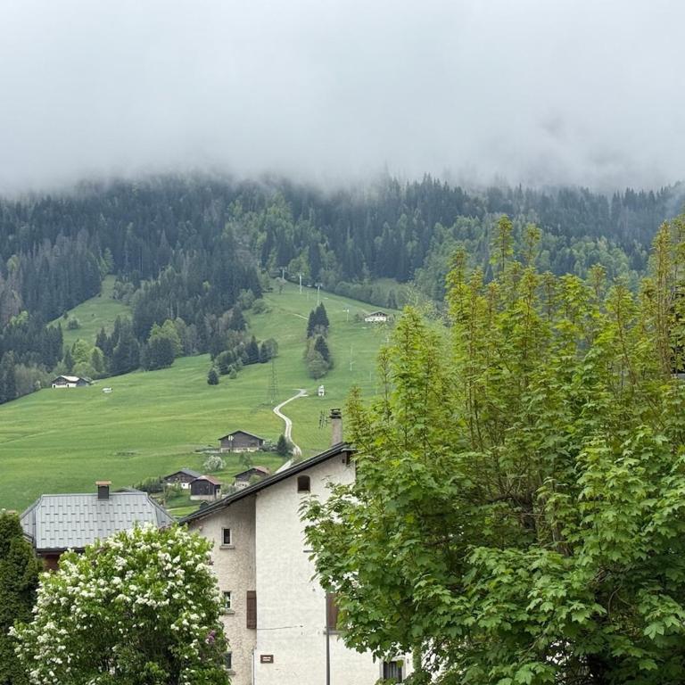Praz-sur-Arly, Appartement "Les Drus" au coeur du village - Appartement 2 Chambres - 11