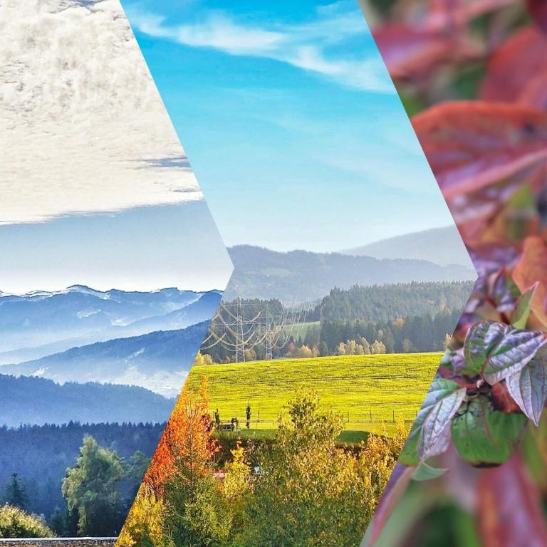 RELAX - APPARTEMENTS Allgäu I Berge I Familien I Paare I Business I Wellness I WLAN I Parkplatz - Appartamento con 1 Camera da Letto - 6