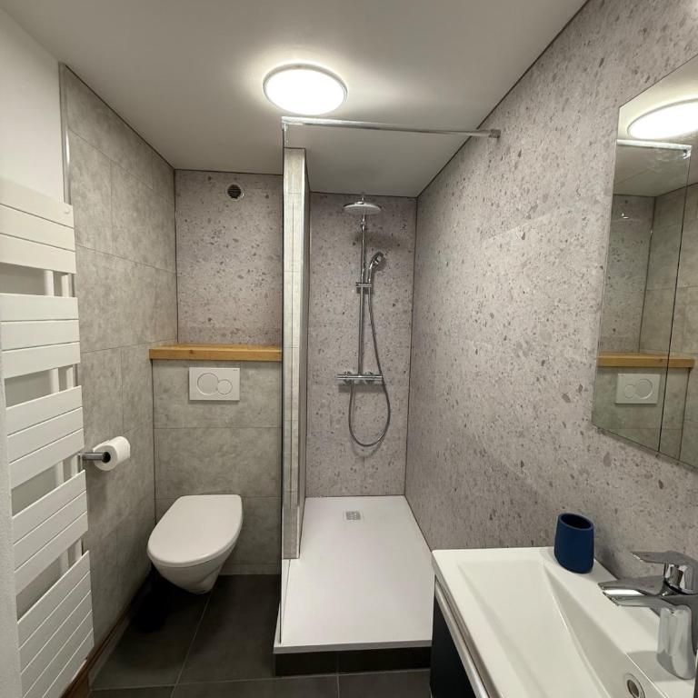 Praz-sur-Arly, Appartement "Les Drus" au coeur du village - Appartement 2 Chambres - 29
