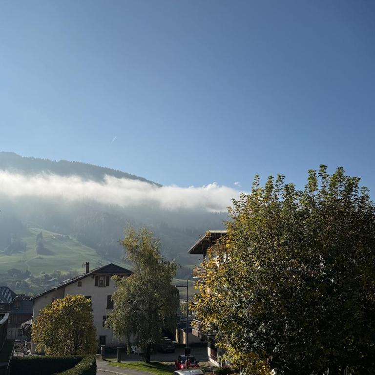 Praz-sur-Arly , Appartement 2 pièces entièrement rénové en 2025 "Le Cervin" - Appartement 1 Chambre - 13