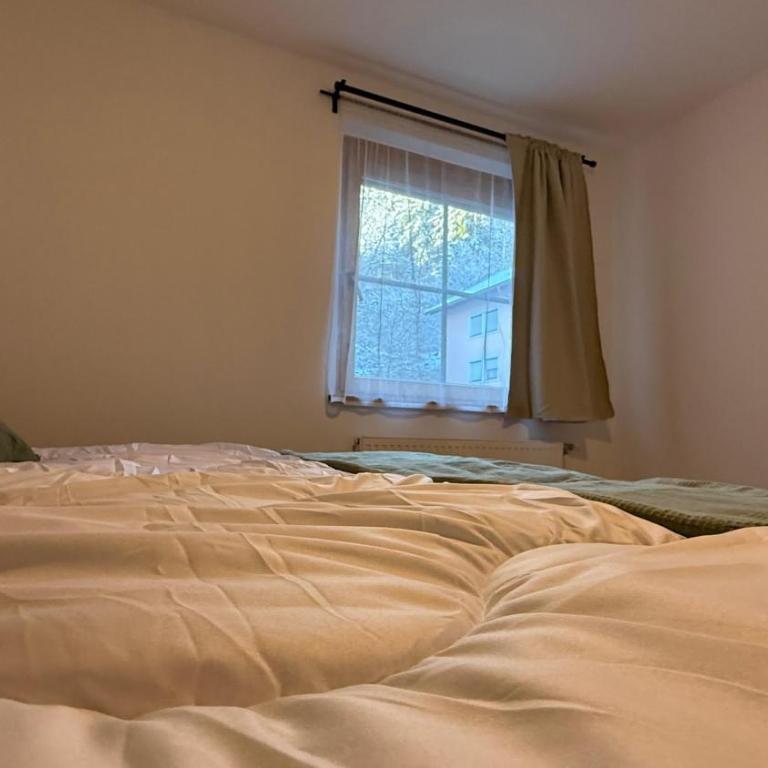 Alpine Oasis - Apartment mit 2 Schlafzimmern - 10