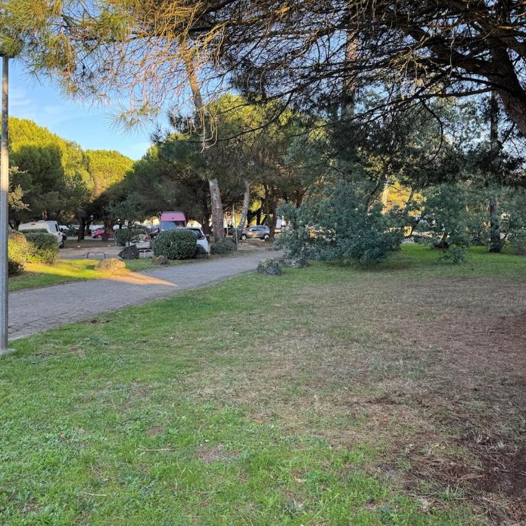 Swell Patio - 5 minutes à pied du centre d'Hossegor - Two-Bedroom Apartment - 17