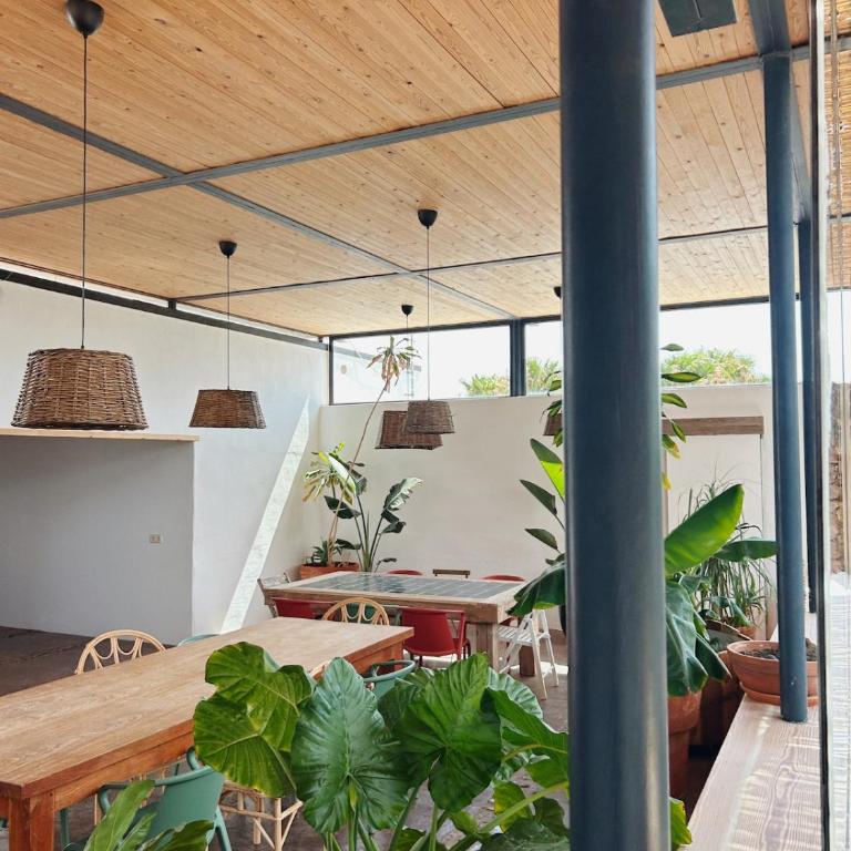 Asulito 400 m2 house with pool - Villa - 17