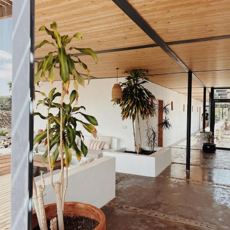 Asulito 400 m2 house with pool - Villa - 21