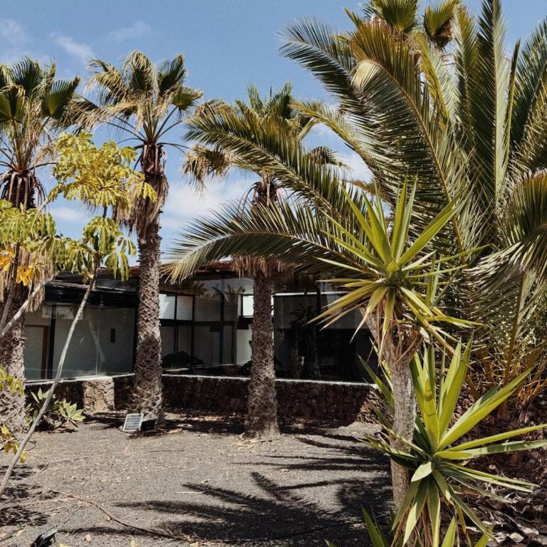 Asulito 400 m2 house with pool - Villa - 8