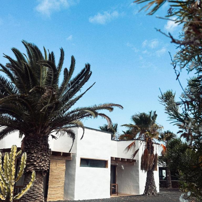 Asulito 400 m2 house with pool - Villa - 6