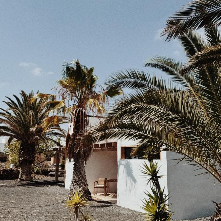 Asulito 400 m2 house with pool - Villa - 72