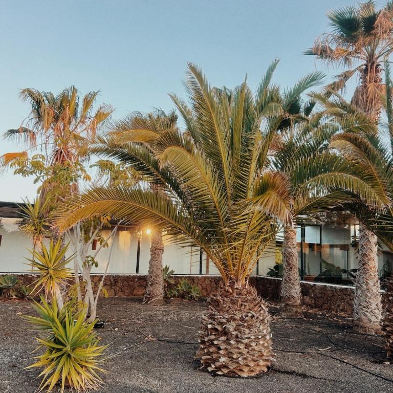 Asulito 400 m2 house with pool - Villa - 7