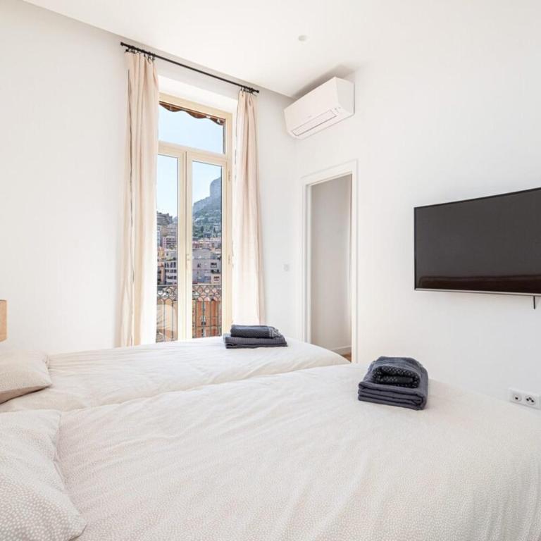 Large 2 Bedroom with Sea View 50m from Monaco - Apartment - 13