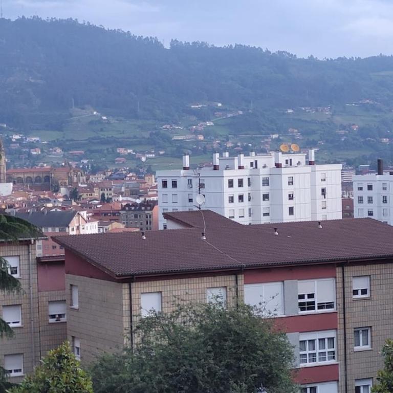Apartamento con cocina abierta y vistas verdes - Apartamento de 1 dormitorio - 13