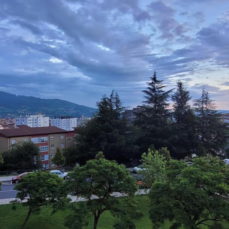 Apartamento con cocina abierta y vistas verdes - Apartamento de 1 dormitorio - 14