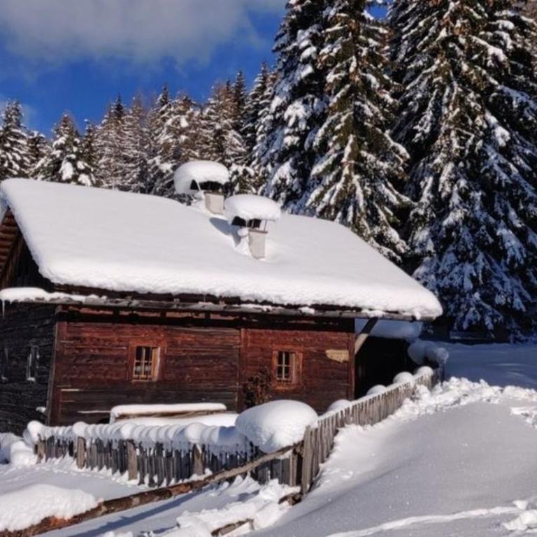 Reh's Wiesen Hütte - Vacation Home - 1