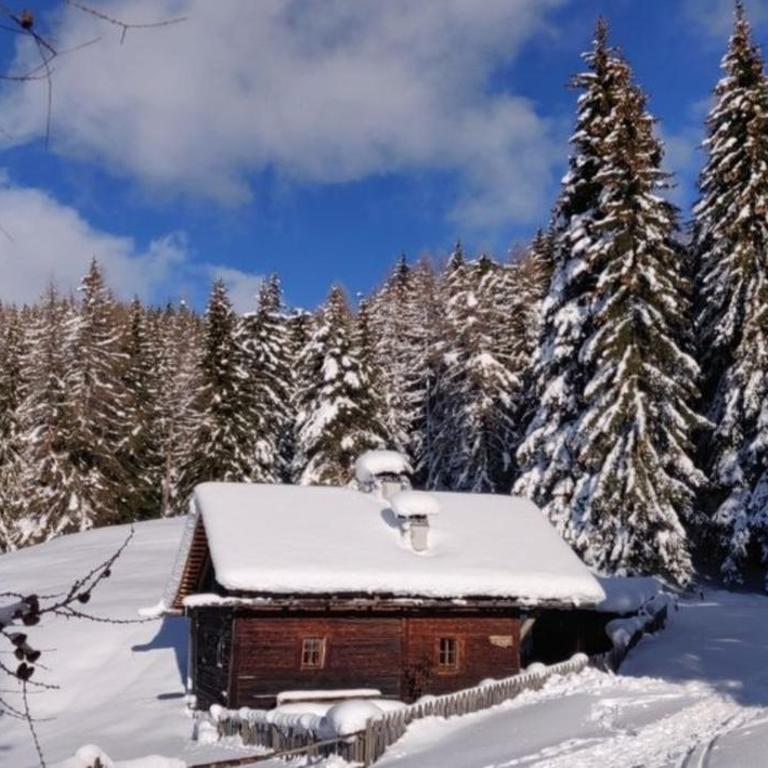 Reh's Wiesen Hütte - Vacation Home - 2