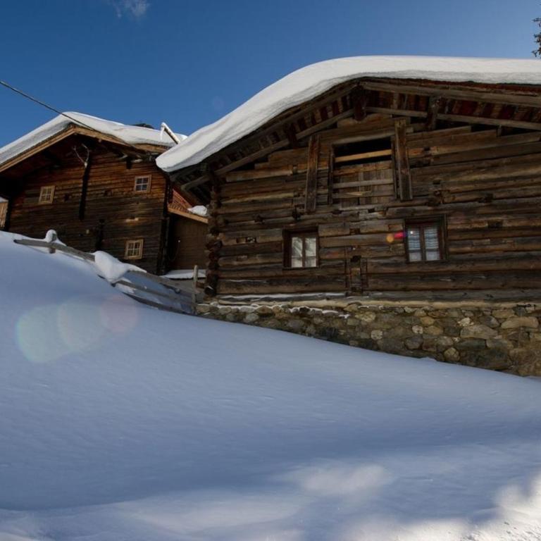 Radlehenhütte - Ferienhaus - 3