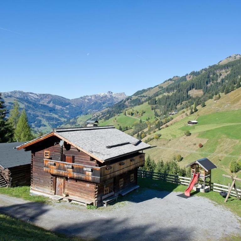 Radlehenhütte - Ferienhaus - 1