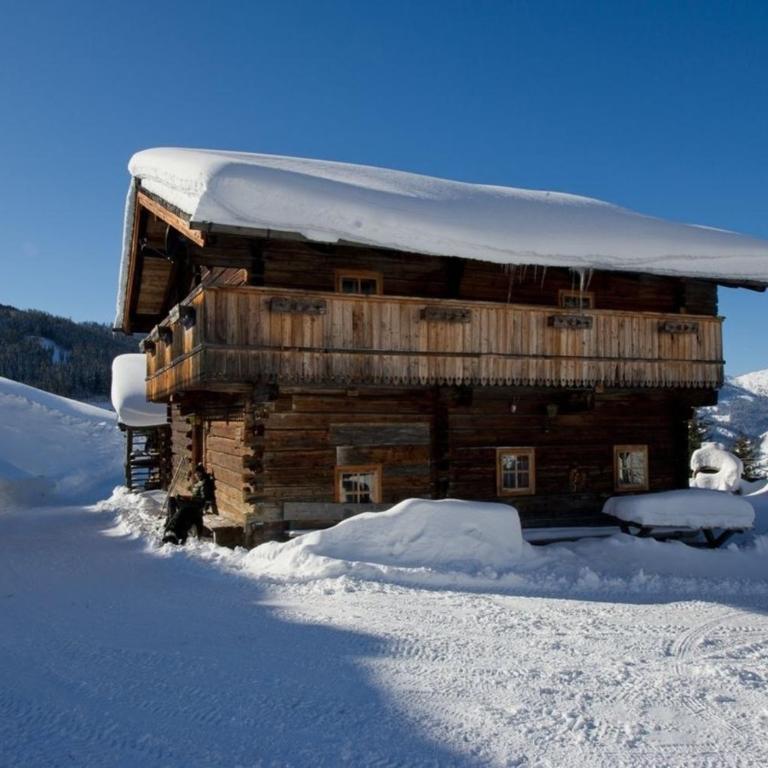 Radlehenhütte - Ferienhaus - 2