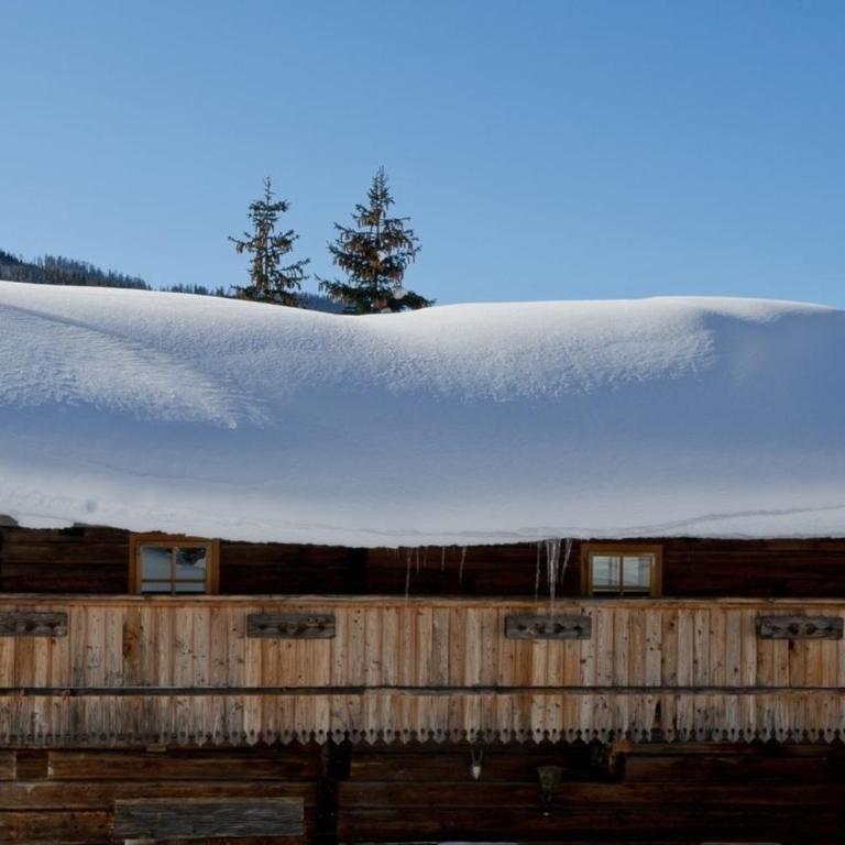 Radlehenhütte - Ferienhaus - 7