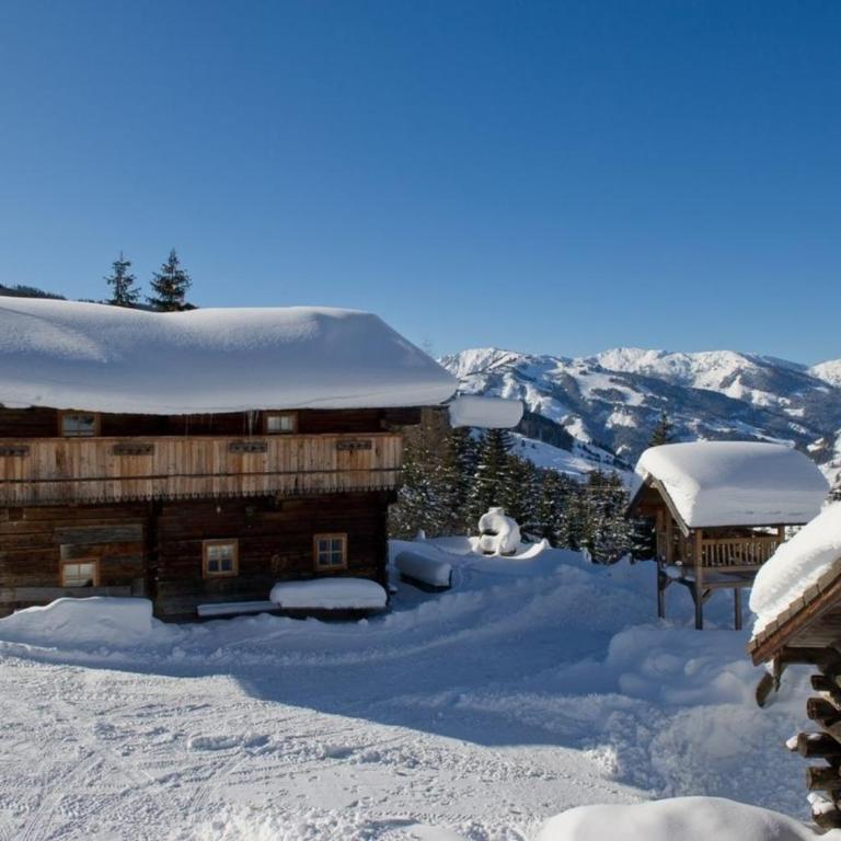 Radlehenhütte - Ferienhaus - 6