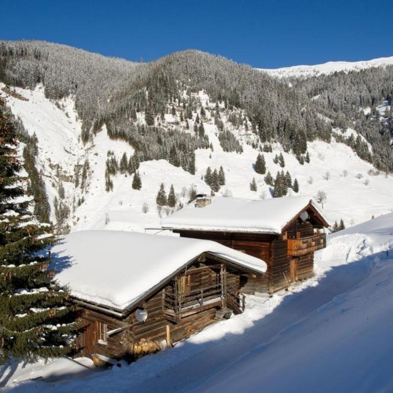 Radlehenhütte - Ferienhaus - 9
