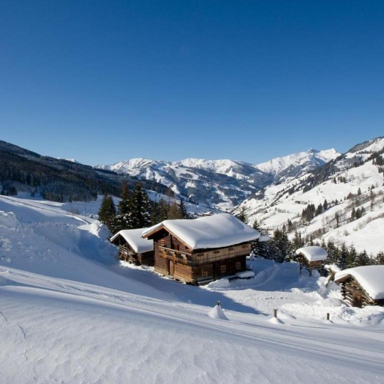 Radlehenhütte - Ferienhaus - 10