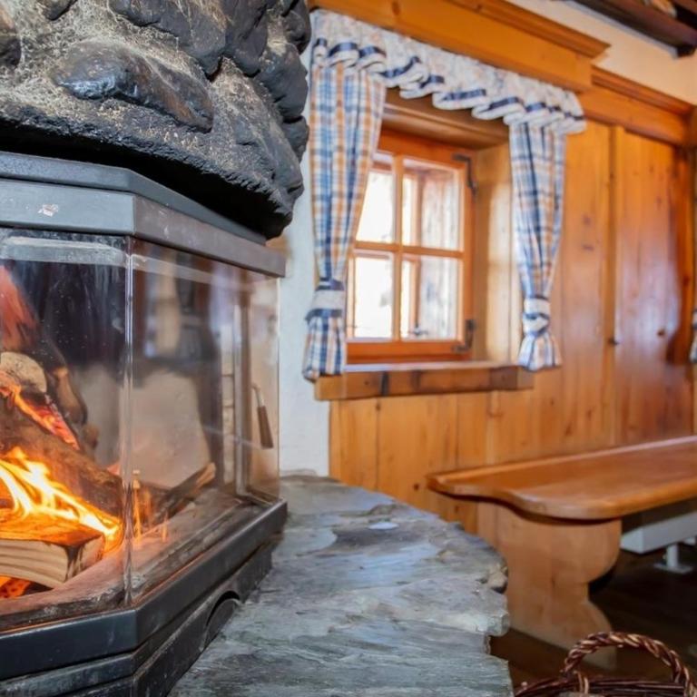Radlehenhütte - Ferienhaus - 14