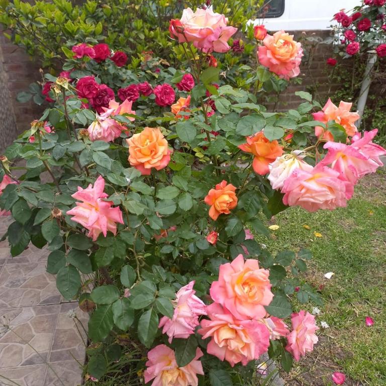 Casa santa clara del mar - Casa con 1 dormitorio - 9