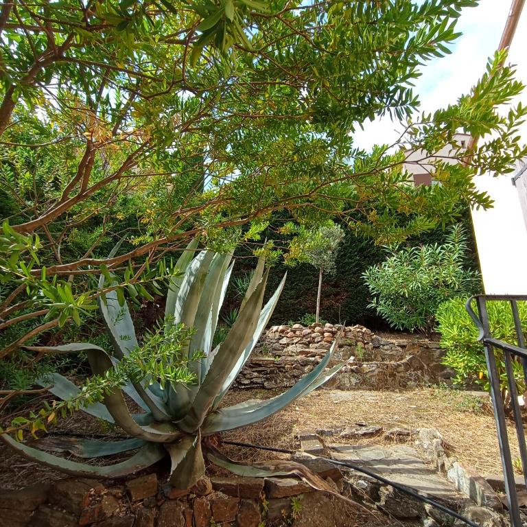 6AMB38 Superbe Villa avec terrasses dans résidence avec piscine commune - Villa Supérieure - 26
